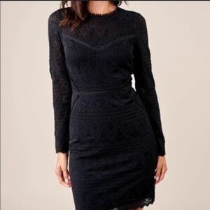 NWT SugarLips Long Sleeve Knit Lace Mini Dress size Medium Black Sheer Lined